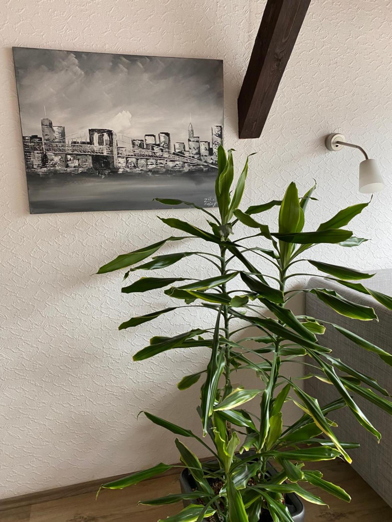 Ferienwohnung Malk Traben-Trarbach Εξωτερικό φωτογραφία